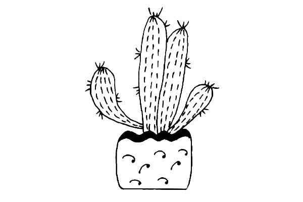 11款可爱的仙人掌简笔画大全