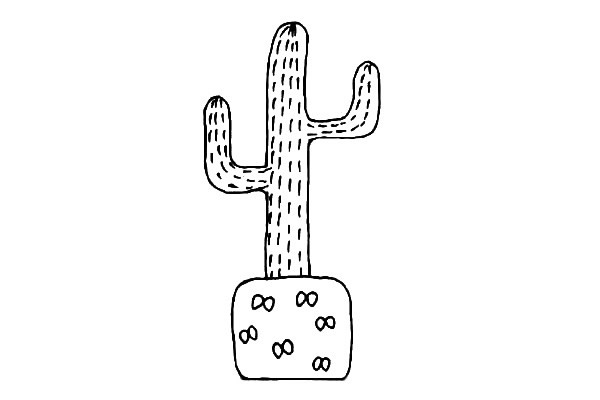11款可爱的仙人掌简笔画大全