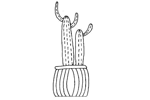11款可爱的仙人掌简笔画大全