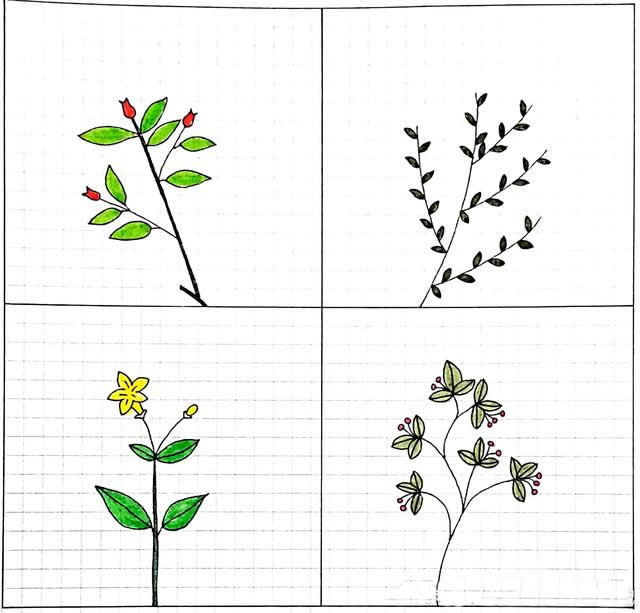 一组小清新的大树简笔画