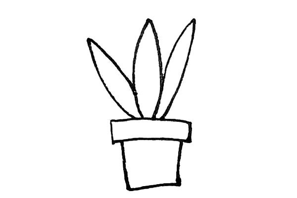 带颜色的虎皮兰简笔画步骤教程