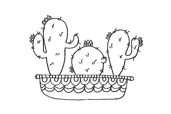 彩色的仙人掌简笔画教程