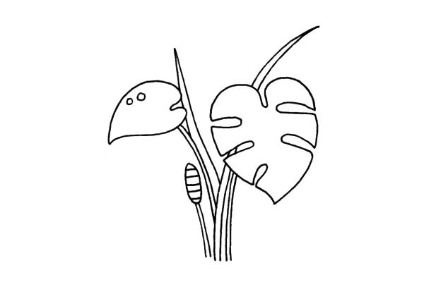 龟背竹的简单画法(写意龟背竹画法)