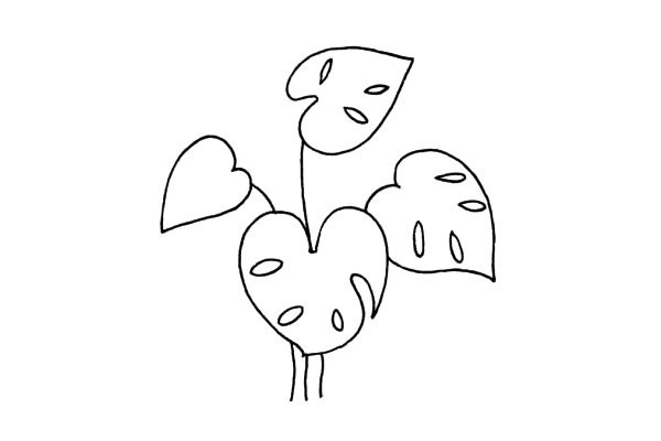 关于龟背竹的简笔画(龟背竹 简笔)