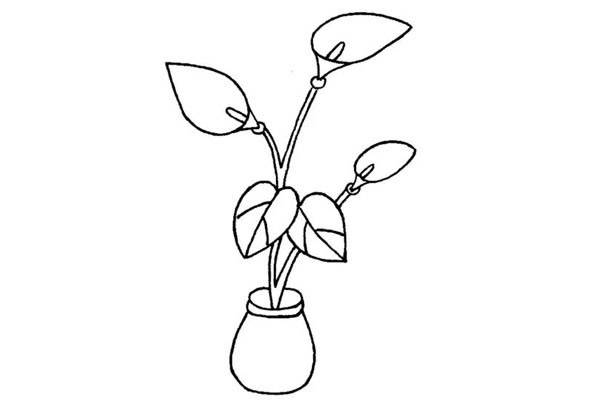 长势良好的绿萝简笔画