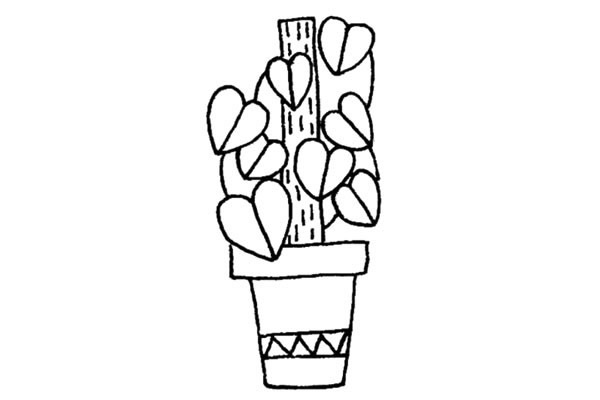 花盆里的绿萝简笔画
