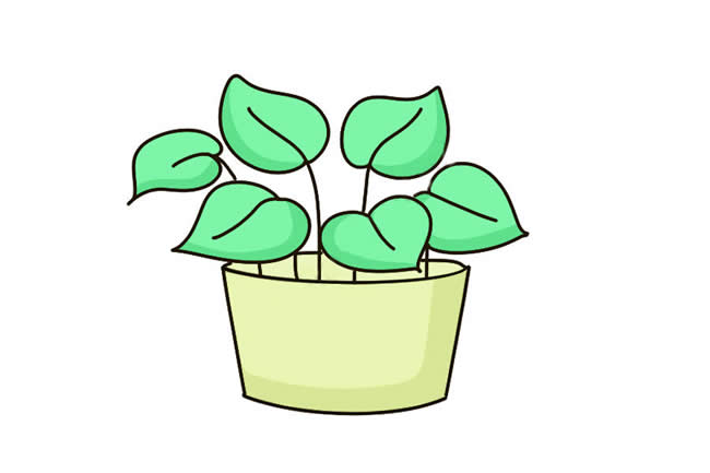 涂色的绿萝简笔画