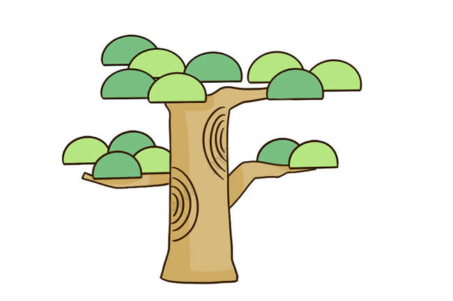 涂色的迎客松简笔画