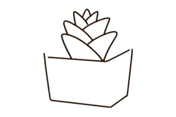 一步步教你画多肉植物简笔画