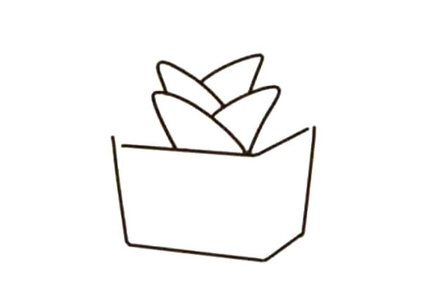 一步步教你画多肉植物简笔画