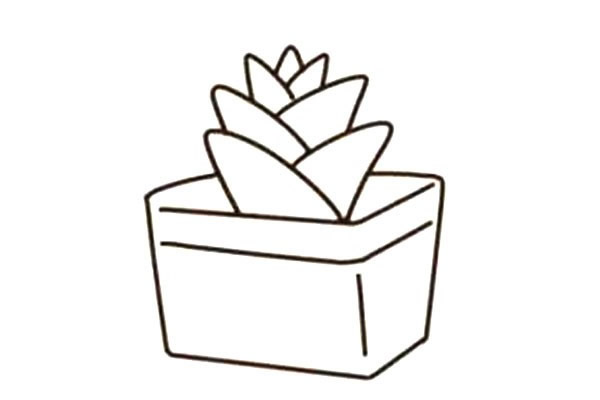 一步步教你画多肉植物简笔画