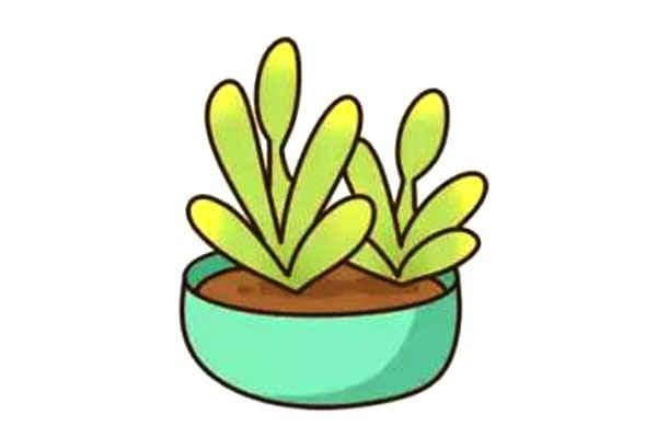 带颜色的多肉简笔画步骤