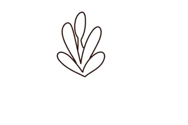 带颜色的多肉简笔画步骤