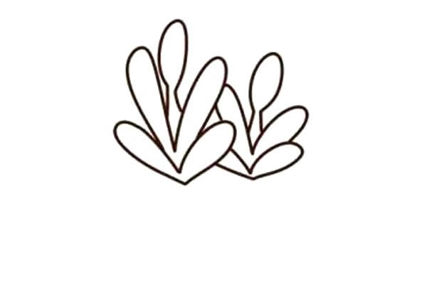 带颜色的多肉简笔画步骤