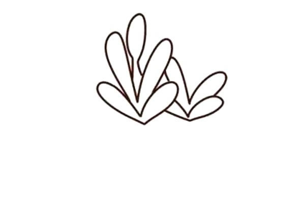 带颜色的多肉简笔画步骤