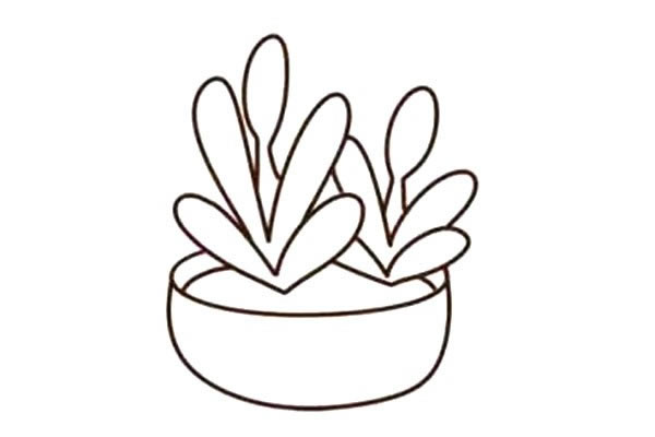 带颜色的多肉简笔画步骤