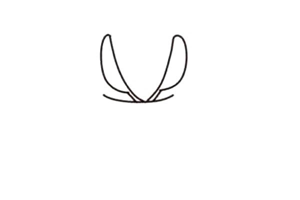 漂亮的多肉植物简笔画教程