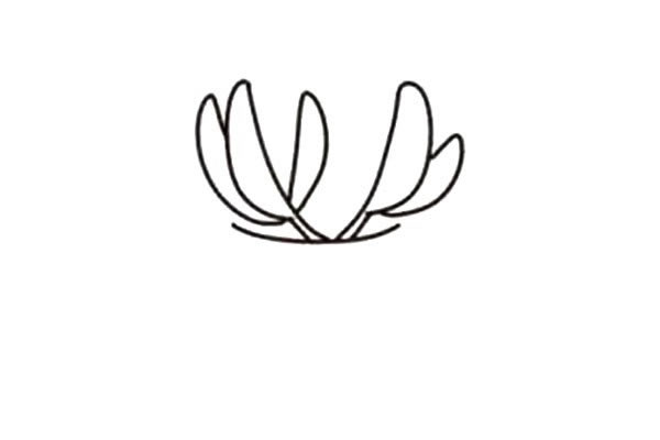 漂亮的多肉植物简笔画教程