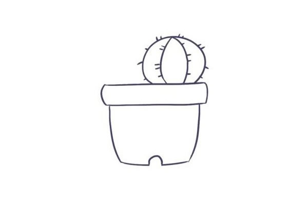 漂亮的盆栽仙人球简笔画教程