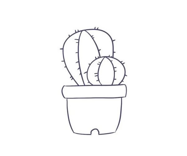 漂亮的盆栽仙人球简笔画教程