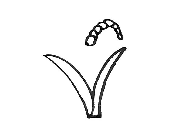 儿童学画麦子简笔画步骤教程