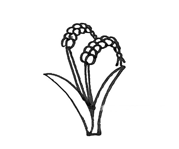 儿童学画麦子简笔画步骤教程