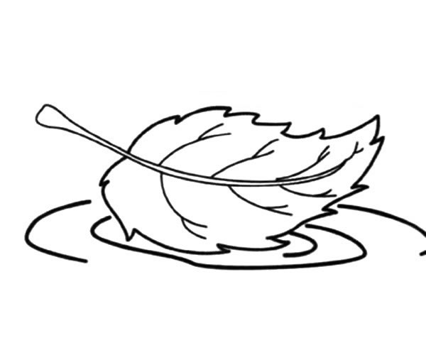 掉在水里的树叶简笔画
