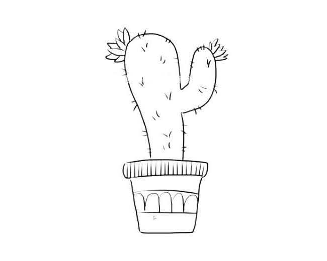 一盆仙人掌的简笔画(仙人掌球怎么画简笔可爱)