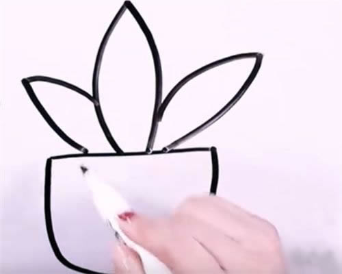 万年青盆栽简笔画步骤教程