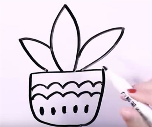 万年青盆栽简笔画步骤教程