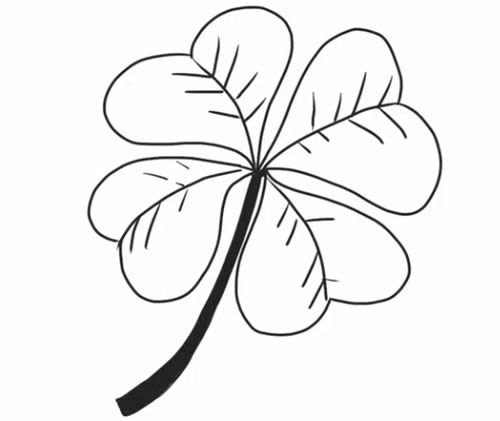 四叶草的详细步骤教程(四叶草的折法步骤图解)