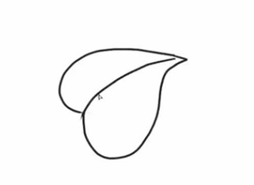 四叶草的详细步骤教程