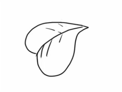 四叶草的详细步骤教程