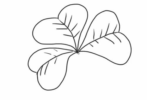 四叶草的详细步骤教程