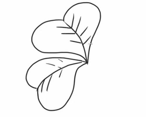 四叶草的详细步骤教程