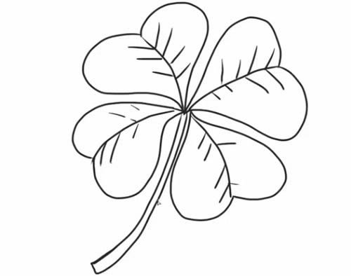 四叶草的详细步骤教程
