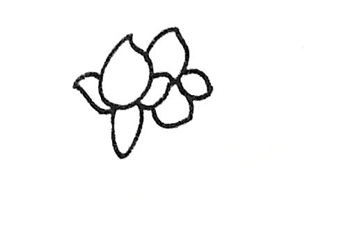 关于桃树的简笔画步骤