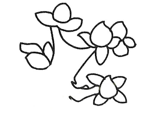 关于桃树的简笔画步骤