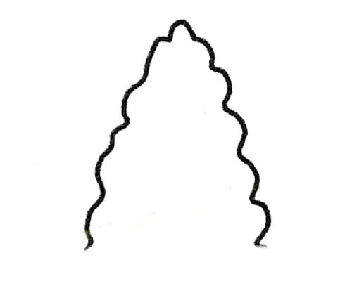 白杨树简笔画步骤教程