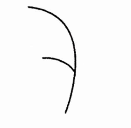 带颜色的芦苇简笔画教程