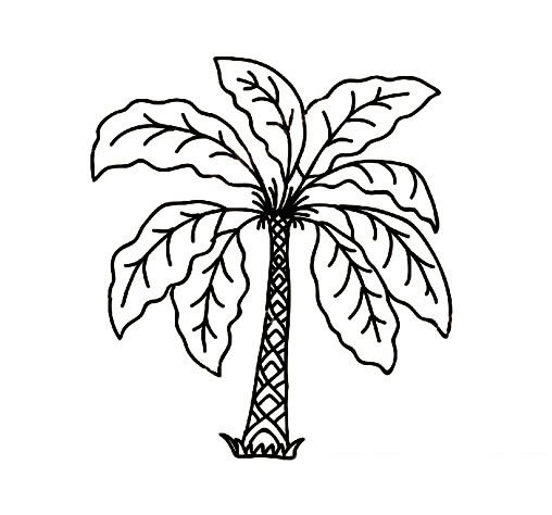 关于古树的简笔画(古树树干简笔画)