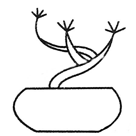 3款小树盆景简笔画(小树盆景图片大全欣赏)
