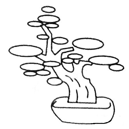 3款小树盆景简笔画