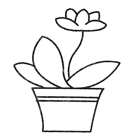 6款漂亮的花朵盆景简笔画大全(最漂亮的花朵钩法视频)