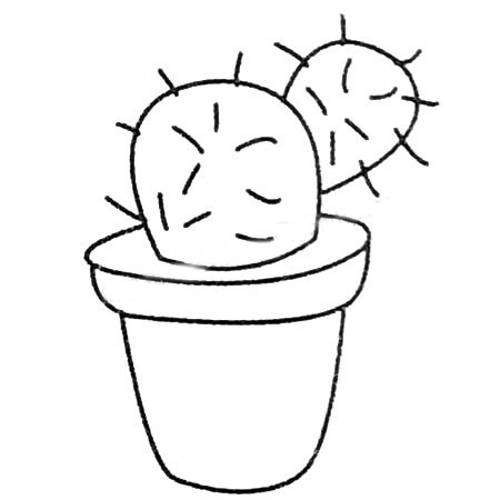 一步步教你画简单的仙人掌(一步步教画简单)