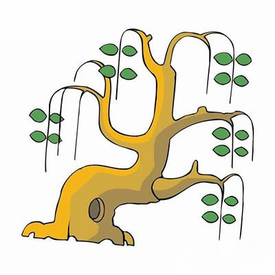 春天的柳树简笔画(春天的柳树简笔画彩色)