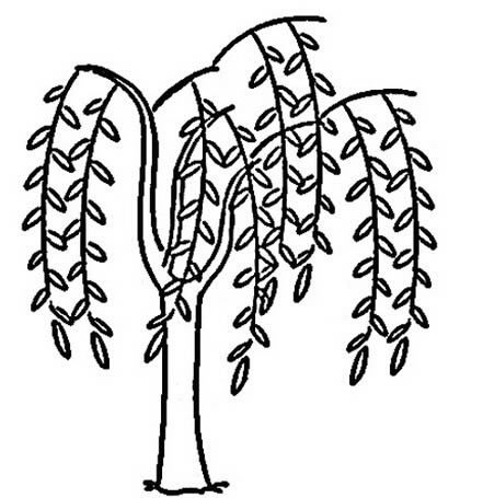 简单易学的柳树简笔画(简单易学的画柳树方法)