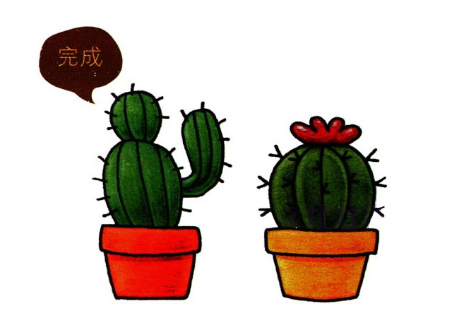 两盆彩色的仙人球简笔画教程(彩色仙人球是真的吗)