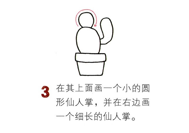 两盆彩色的仙人球简笔画教程