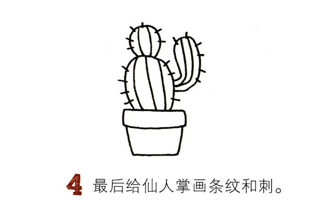 两盆彩色的仙人球简笔画教程